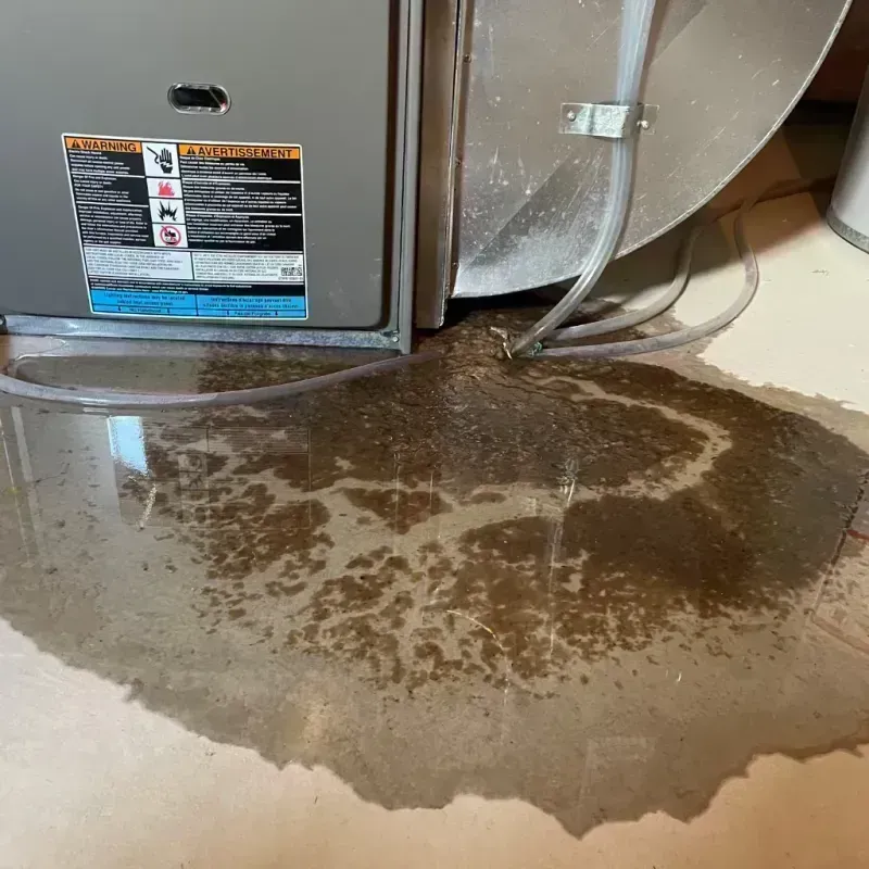 Appliance Leak Cleanup in Perry County, KY